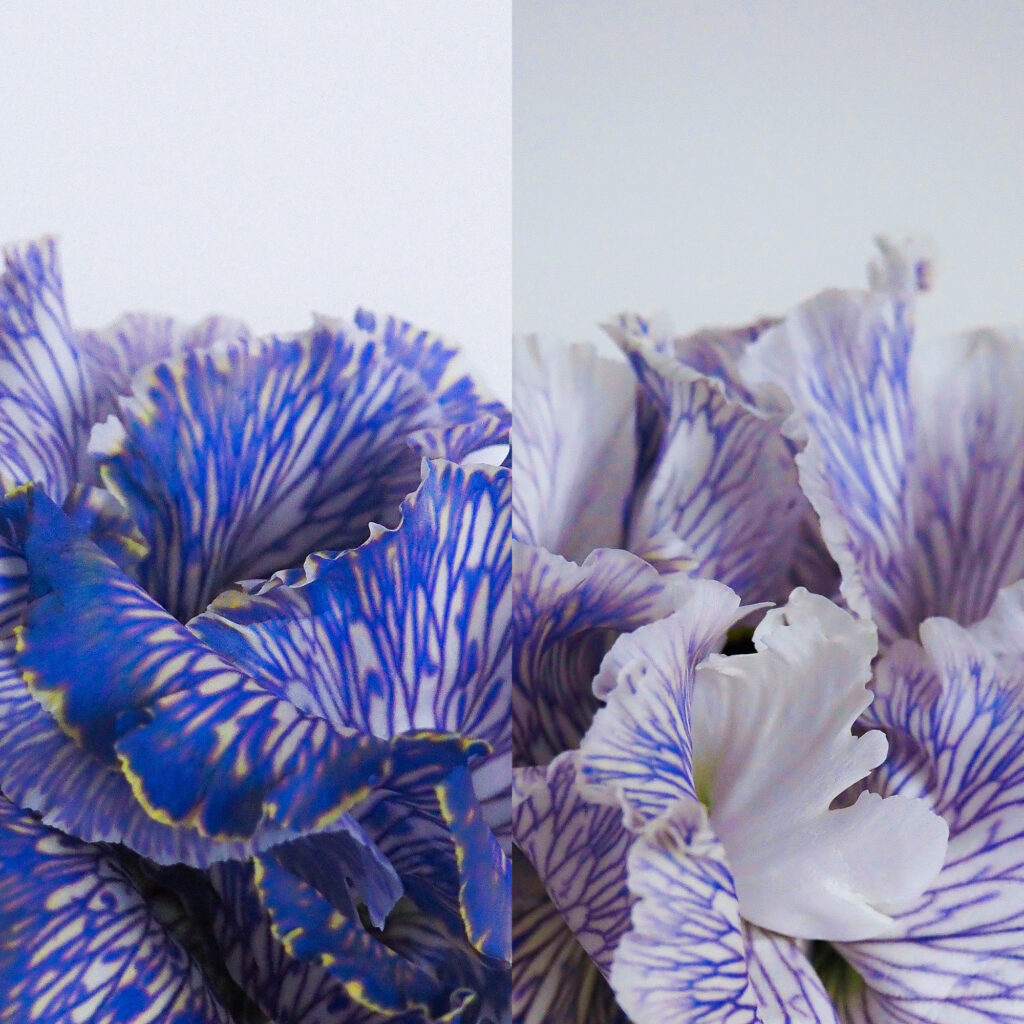 be-vol-5-be-your-own-studio-vicious-magazine